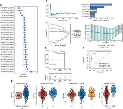 Identification of pyroptosis-related lncRNA signature and AC005253.1 as a pyroptosis-related oncogene in prostate cancer